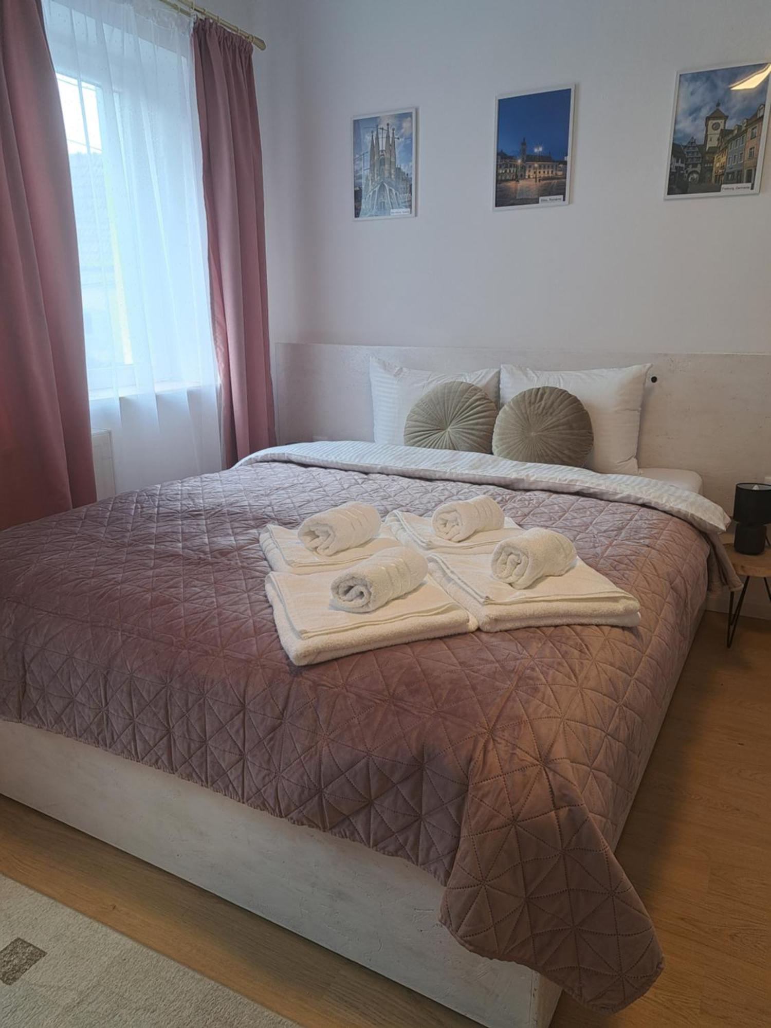 Studio With Free Parking In The Center - Deliamo 3 Nagyszeben Kültér fotó